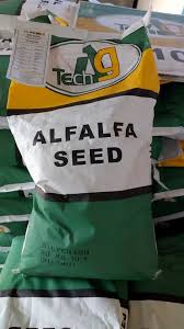 ALFALFA SILVERADO